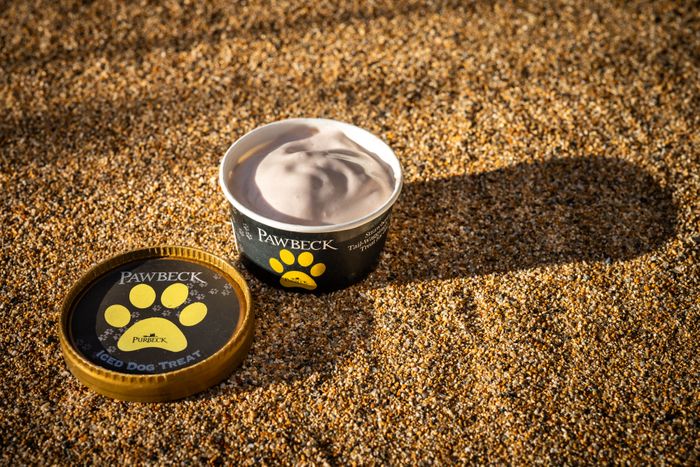 Pawbeck, Iced Dog TReat