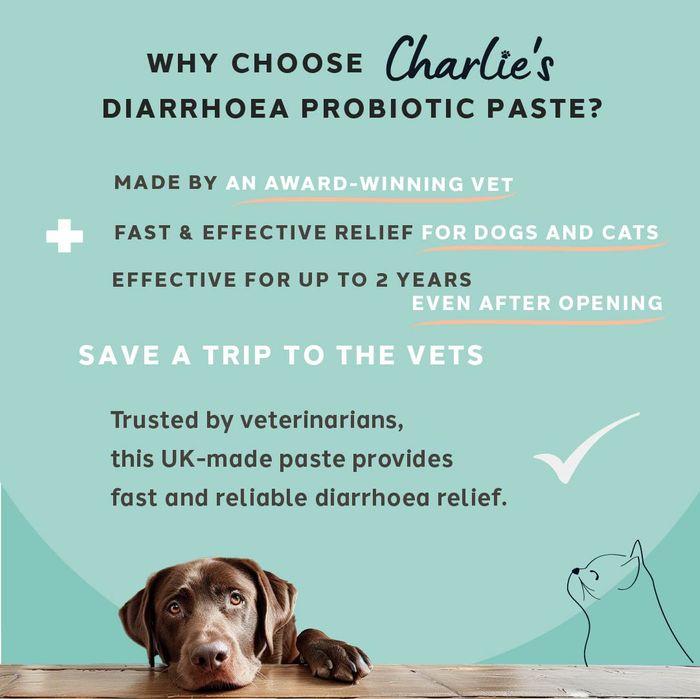 Charlie The Vet Diarrhoea Care Probiotic Paste For Dogs And Cats