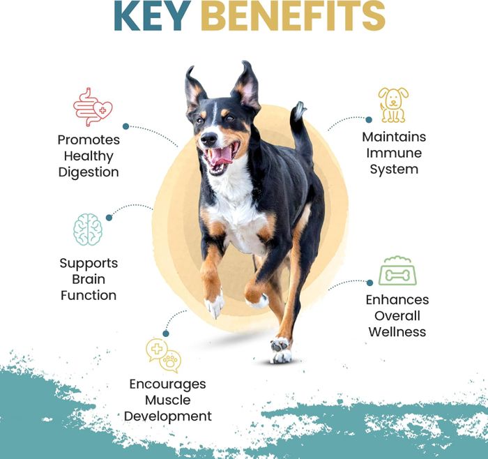 Simply Jaspers Complete Grain-Free Dog Food Dry – Chicken & Butternut Squash