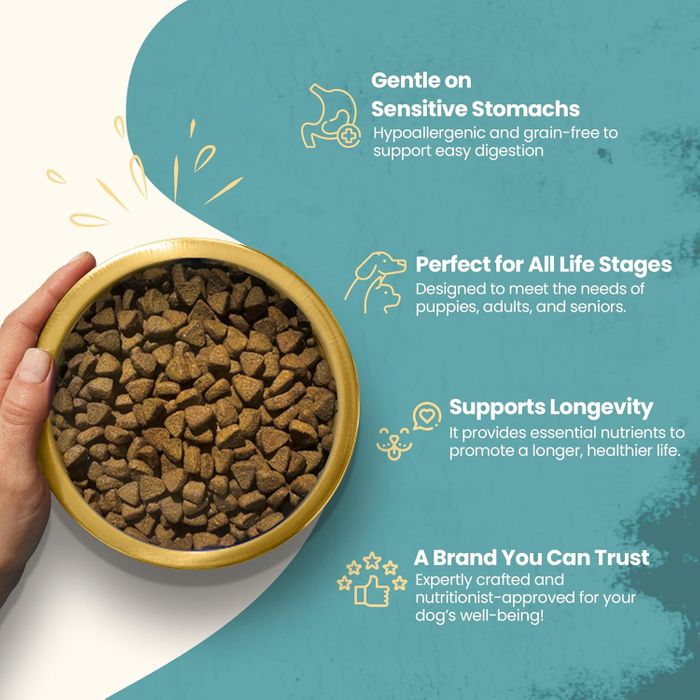Simply Jaspers Complete Grain-Free Dog Food Dry – Chicken & Butternut Squash