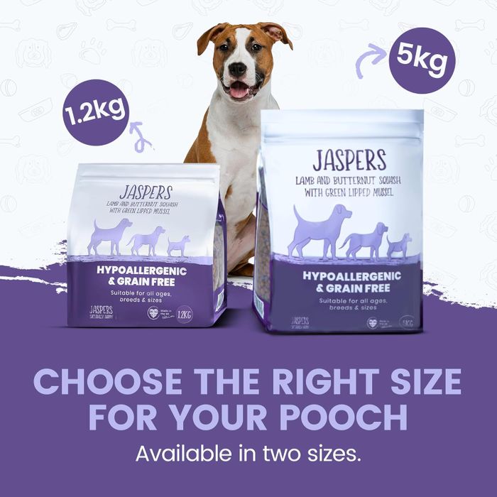 Simply Jaspers Complete Grain-Free Dog Food Dry – Lamb & Butternut Squash with Added New Zealand Green-Lipped Mussels
