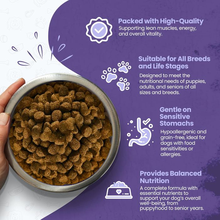 Simply Jaspers Complete Grain-Free Dog Food Dry – Lamb & Butternut Squash with Added New Zealand Green-Lipped Mussels