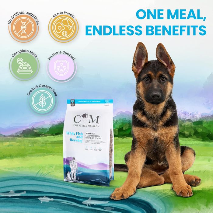 Chester & Morley Complete Cold Pressed Dry Dog Food - White Fish and Herring