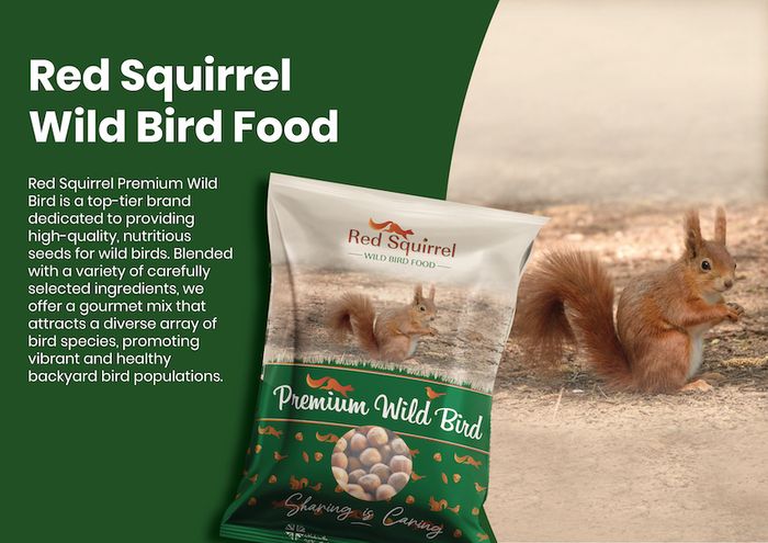Red Squirrel Wild Bird Food
