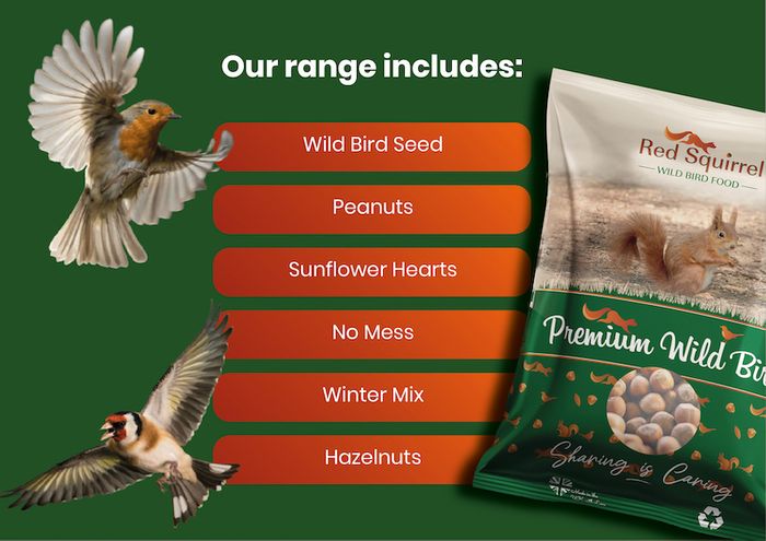 Red Squirrel Wild Bird Food