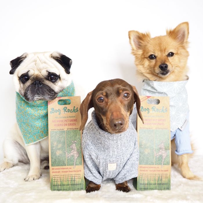 Dog Rocks - 6 Month Supply - 600g (1.2lb)