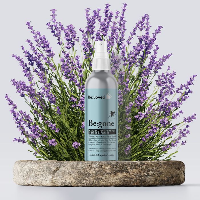 Be:Gone - Natural Summer Horse Spray