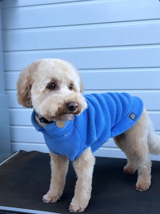 Medium Breed Dog Fleece Jumper