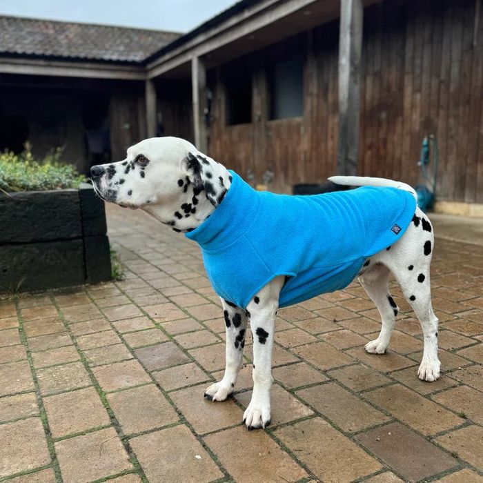 Extra Large Dog Fleece Jumper