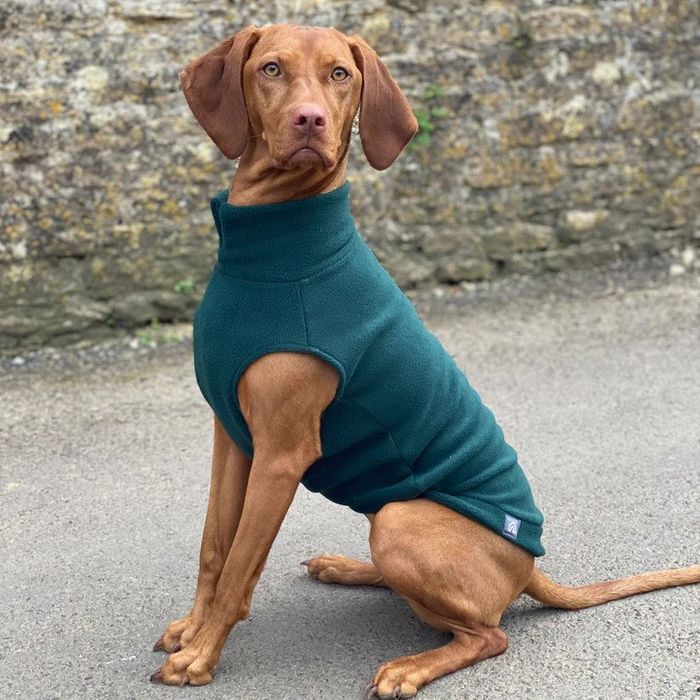 Extra Large Dog Fleece Jumper