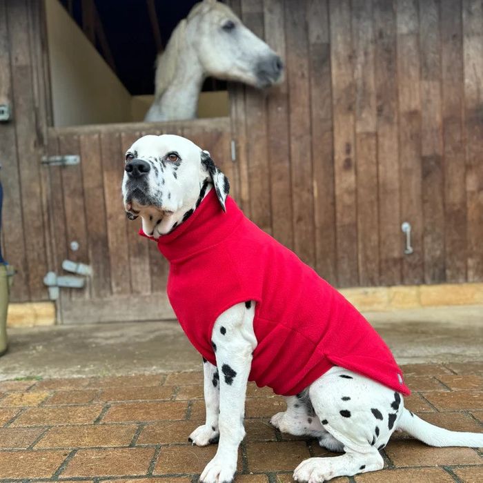 Extra Large Dog Fleece Jumper