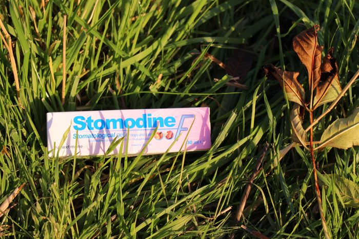 Stomodine