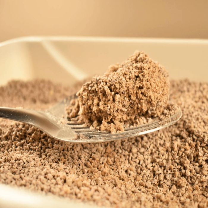 World's Best Cat Litter