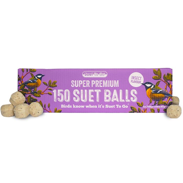 SuetToGo Suet Balls for Wild Birds