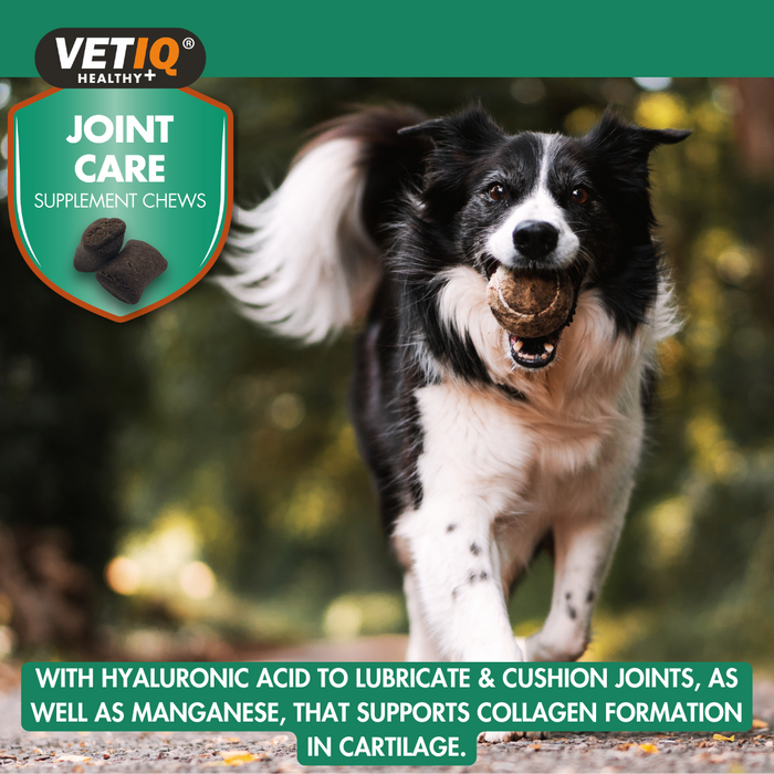 VETIQ Joint Care Supplement Chews 230g 
