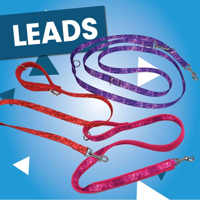 Leads