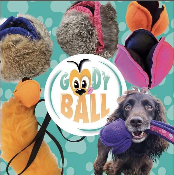 GoodyBall Treat Toys 
