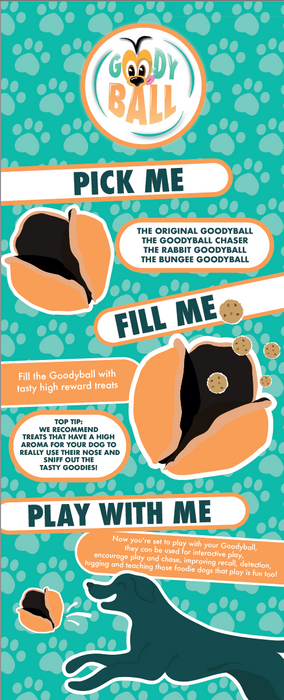 GoodyBall Treat Toys 