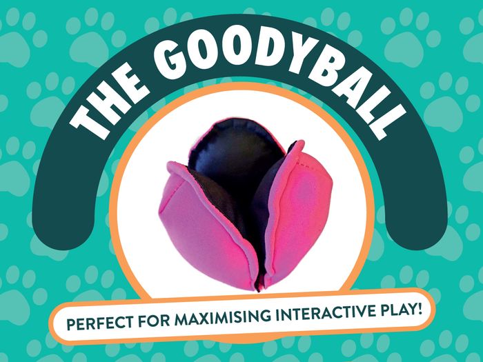 GoodyBall Treat Toys 