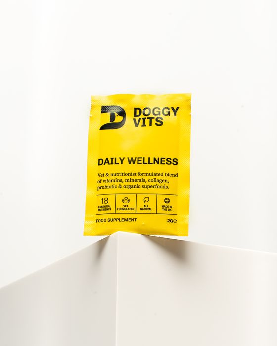 Doggy Vits Daily Wellness Sachet for Dogs