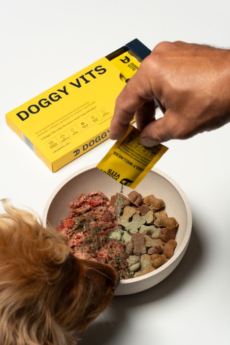 Doggy Vits Daily Wellness Sachet for Dogs