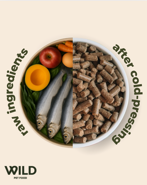 Herring - 80:20 Cold-Pressed Omega+  Complete