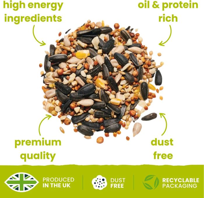 High Energy Wild Bird Mix