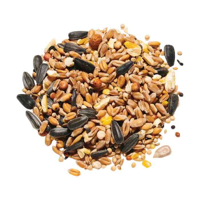 Garden Wild Bird Mix