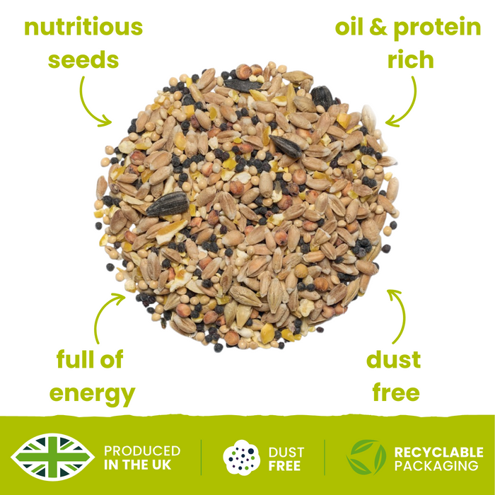 Summer Wild Bird Mix