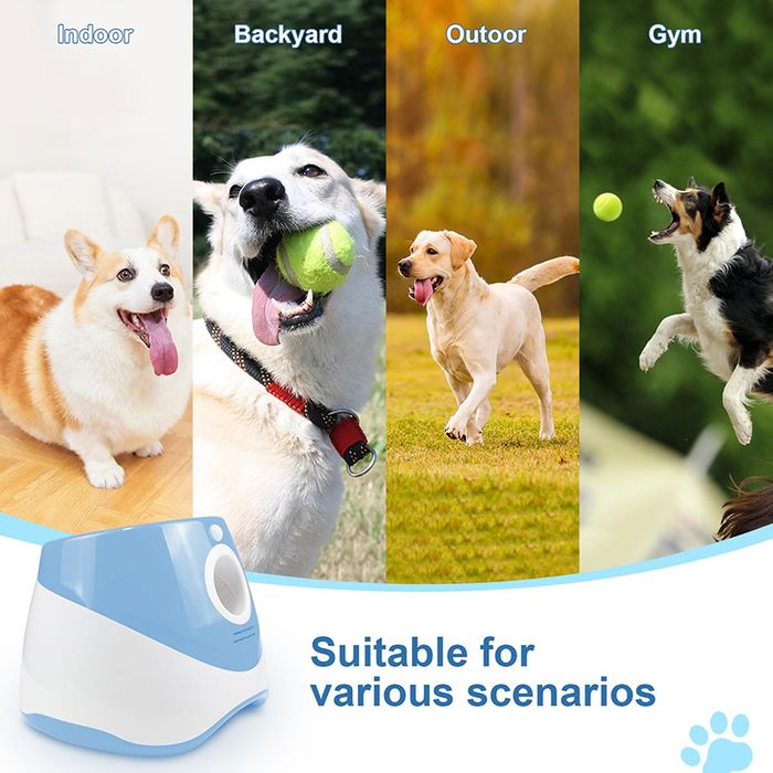 Pet Automatic Ball Launcher