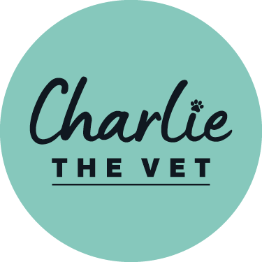 Charlie the Vet