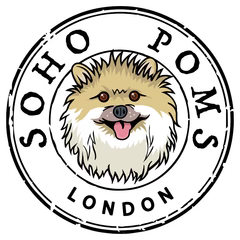 Soho Poms