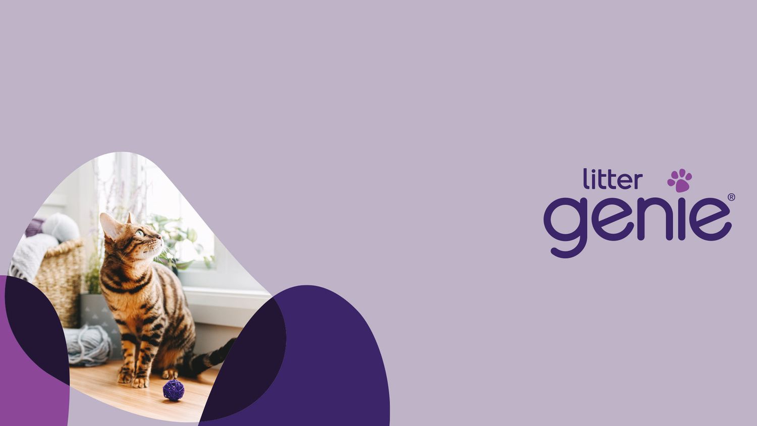 Litter genie store coupon $10