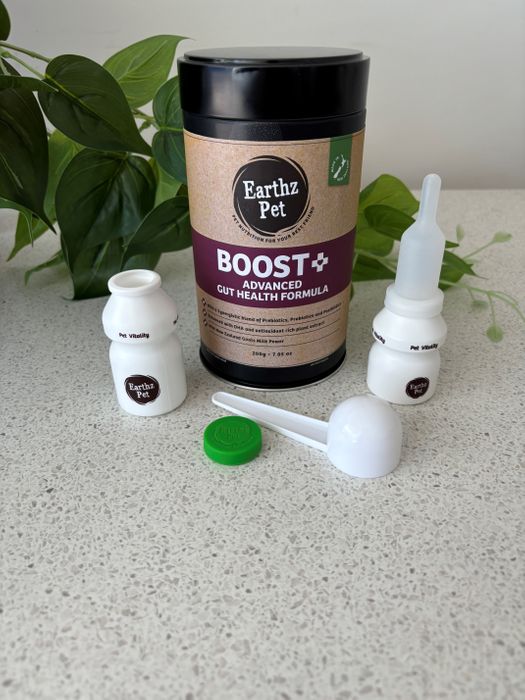 Boost+ Biotic Support Formula