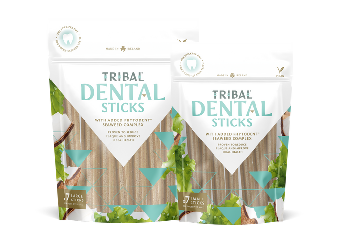 Tribal Dental Sticks