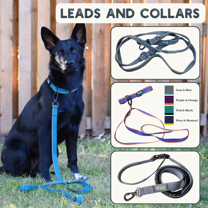 Leads and Collars Range By Henry Wag