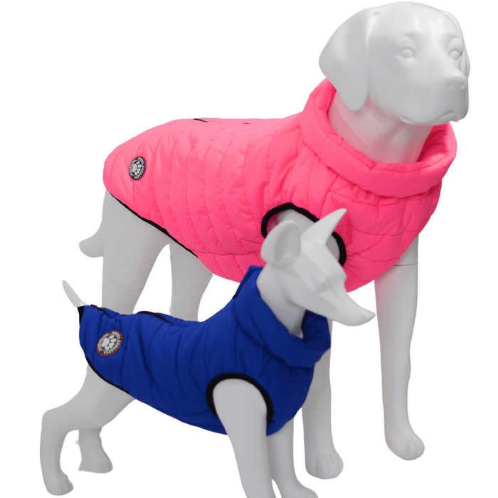 Doggy Concepts Outerwear