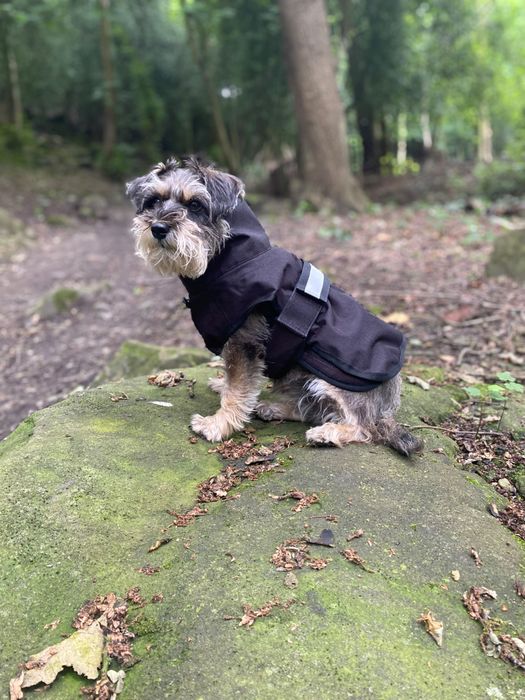 Danish Design 3 in 1 Dog Coat