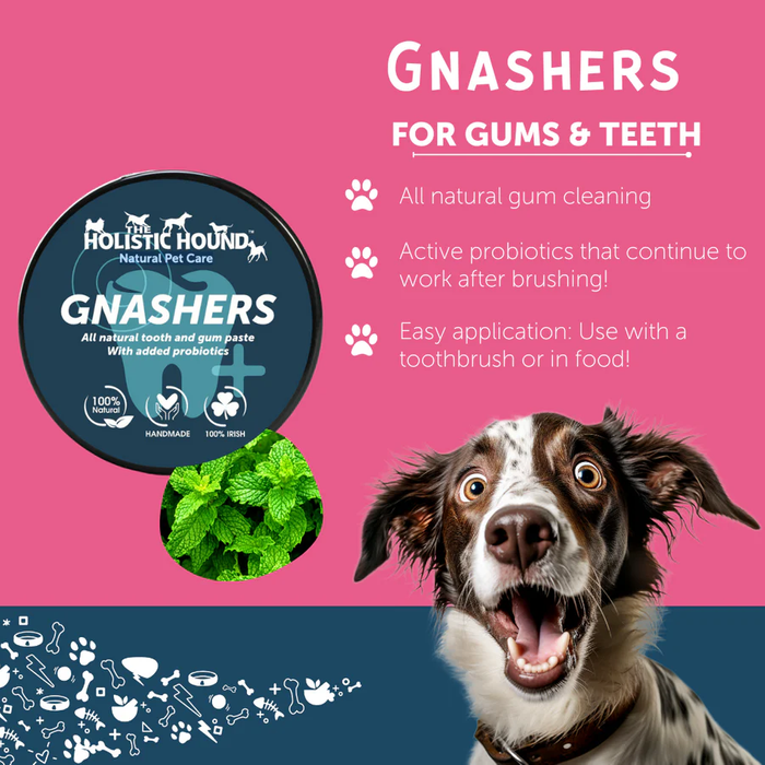 Gnashers