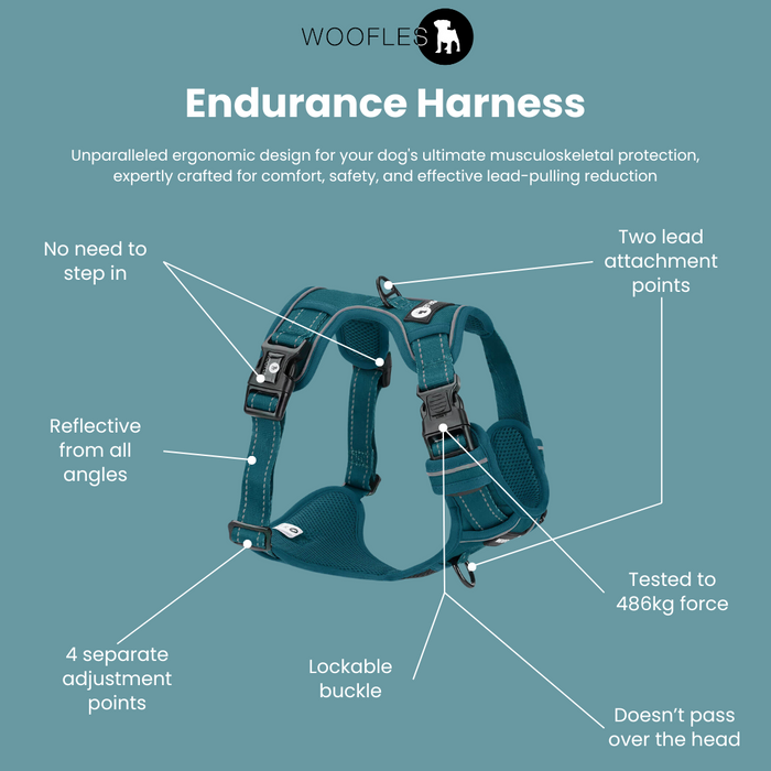 Woofles Endurance Harness