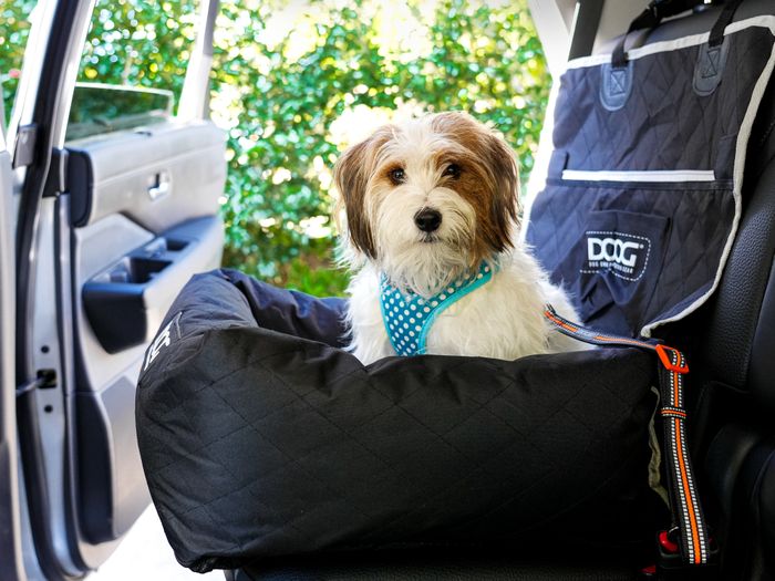 Doog Car Seat