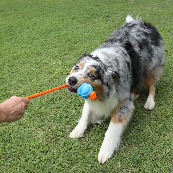 Doog Fetchables Fetch & Tug Ball