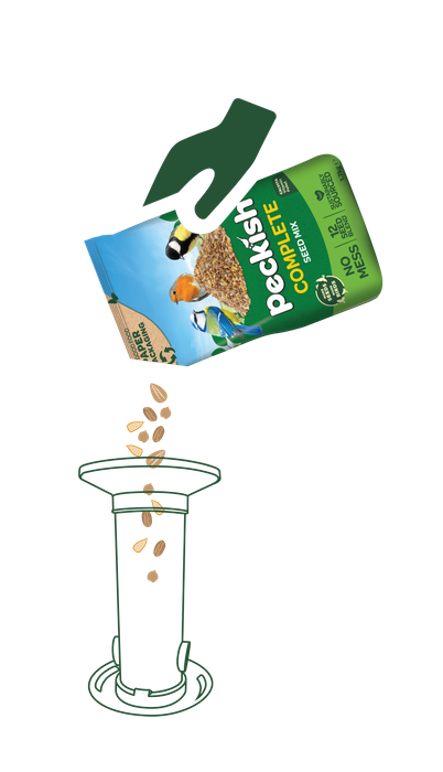 Peckish Funnel Seed Feeder