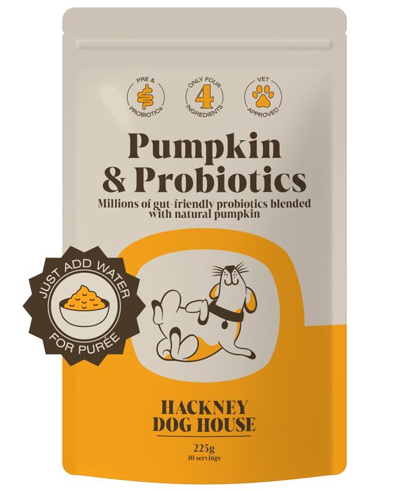 Pumpkin Probiotic For Dogs