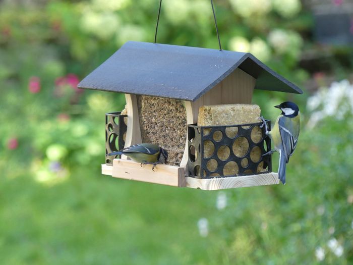 Peckish Woodland Feast Multi Feeder