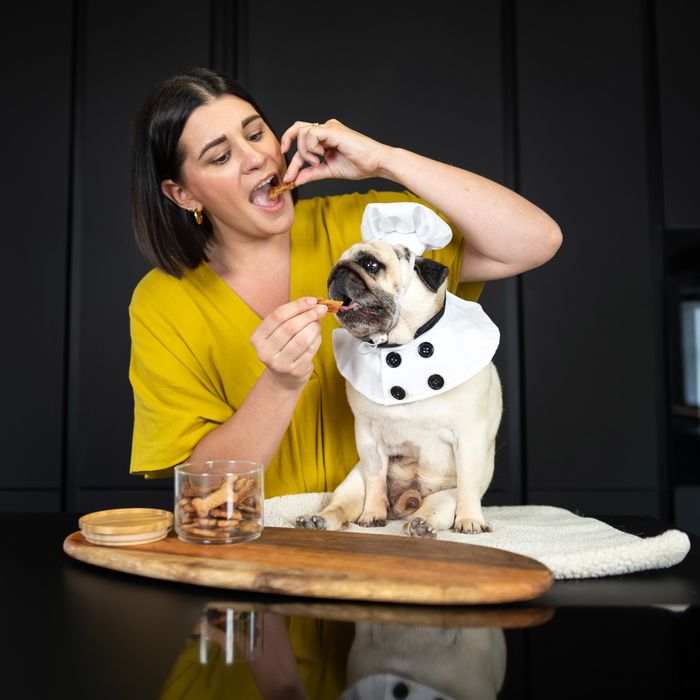 Make-Your-Own DOG TREATS: Tasty Cheese & Super Seaweed Biscuits