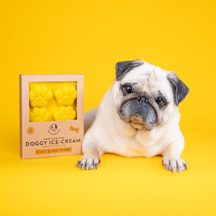 Make-Your-Own Doggy Ice Cream: Peanut Butter Dream Flavour