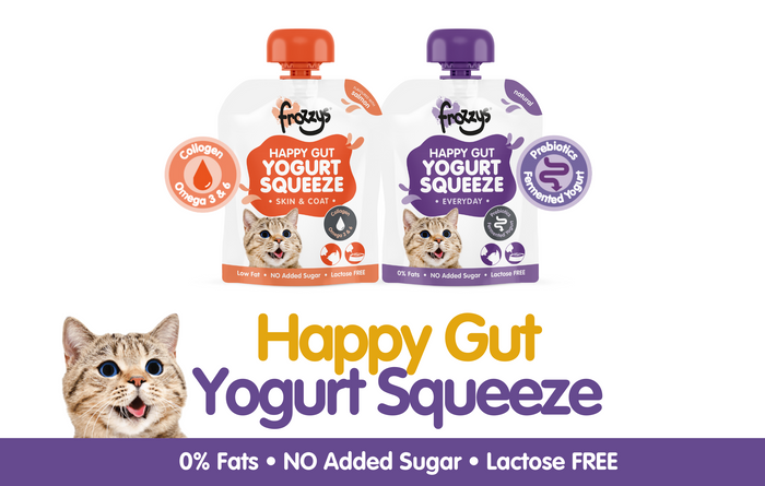 Cat: Happy Gut Yogurt Squeeze