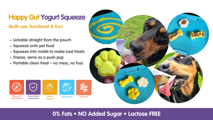 Dog: Happy Gut Yogurt Squeeze