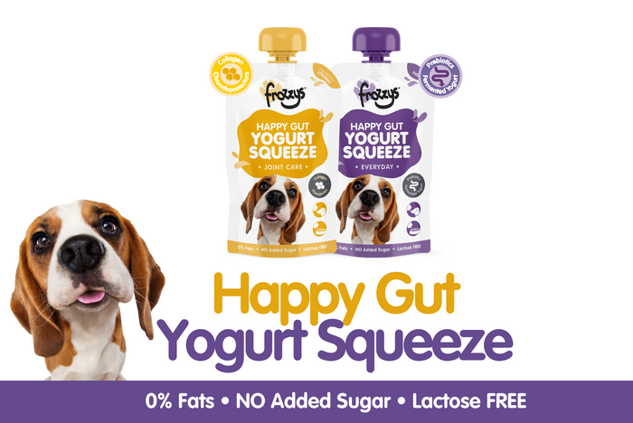 Dog: Happy Gut Yogurt Squeeze